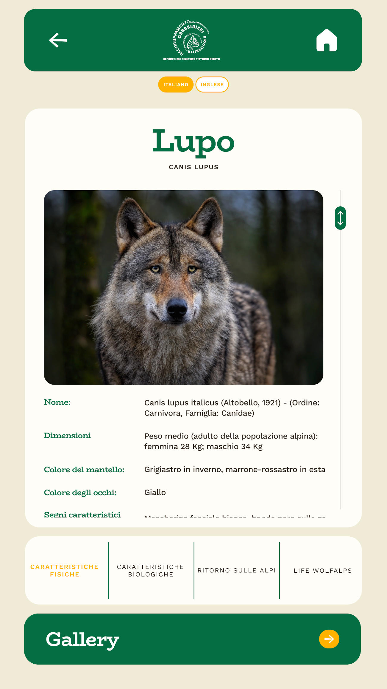 Museo Cansiglio & Somadida - App Android, schermata 2 (apri ingrandita)