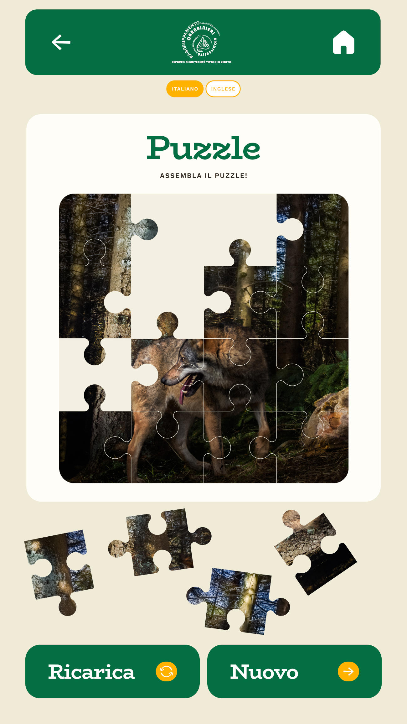 Museo Cansiglio & Somadida - App Android, schermata 4 (apri ingrandita)